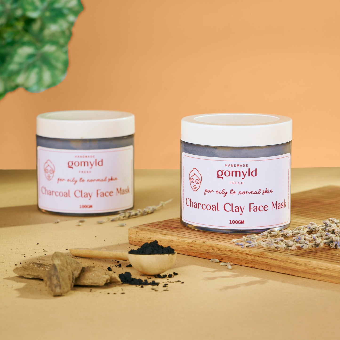 Charcoal Clay Face Mask (100G)